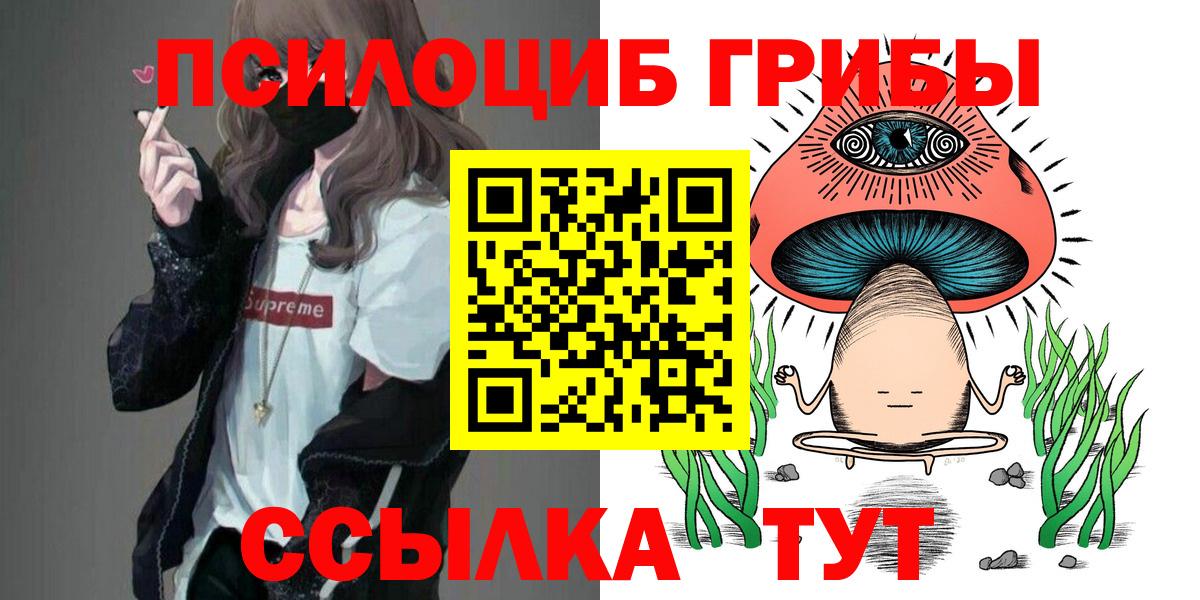Псилоцибиновые грибы мицелий Королёв