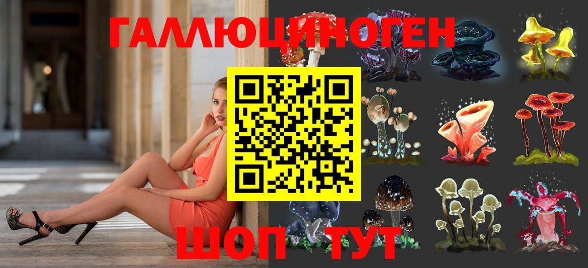 Королёв  Псилоцибиновые грибы Magic Shrooms  Псилоцибиновые грибы Psilocybe  Вход с VPN 